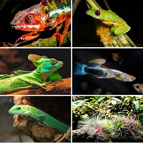 REPTI ZOO 100 Gallon Extra Tall Large Reptile Tank, 36x18x36 Vertical Reptile Terrarium, Chameleon Cage with Screen Ventilation, Water-Land Turtle Tortoise Aqua Terrarium with Drainage Pipe