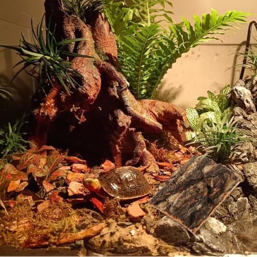 Garneck 5Pcs Reptile Terrarium Cork Bark Background - Natural Cork Wood for Reptile Tank Decor - Vivarium and Gecko Enclosure Background with Climbing and Hiding Features