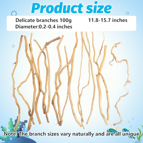 Hamiledyi Natural Driftwood for Aquarium Decor - Red Moor Wood 10"-15" Long Assorted Shapes (100g) Safe Branches for Fish Tank & Reptile Habitat - Natural Aquarium Wood Decorations (Delicate branches)