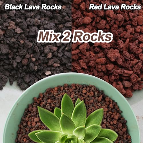 CJGQ 18lb Mix Lava Rocks for Plants - Horticultural Volcanic Rock Gravel for Landscaping, Succulents, Bonsai, Vase Fillers, Terrarium Plants, Top Dressing - color: Mix Lava, size: 18lb