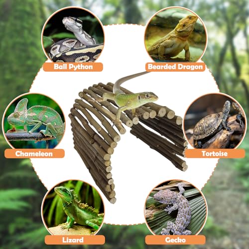 Hamiledyi Extra Large Tortoise Hide 20"x 11.8" Wooden Reptile Hides Large Snake Hide Turtle Hut Bendable Climbing Bridge Wood Tunnel Turtle Hideout for Ball Python Bearded Dragon Chameleon Lizard - size: XL-19.7 x 11.8 -3 PACK
