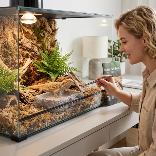 Reptile Water Dish 600ml Tortoise Food Bowl - Natural Rock Texture Reptile Bowl, White, 8.9" X 6.50" X 1.77". - color: White