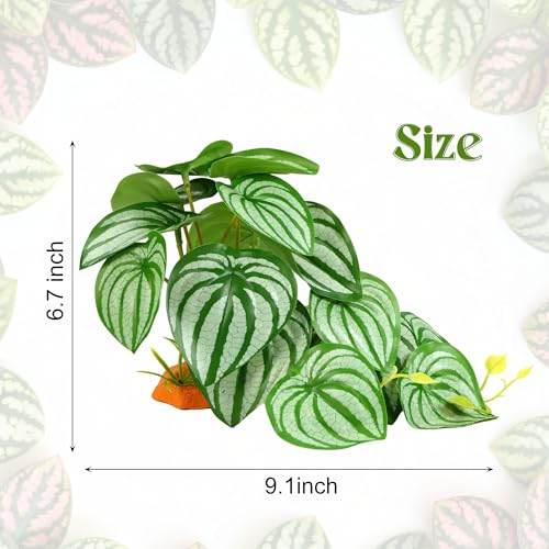 Reptile Plants Terrarium Hideaway Amphibian Habitat Fake Orbifolia | Imitation Reptile Plant Decoration with Base Tank Accessories for Terrarium Ball Python Bearded Dragon Gecko Lizard Tortoise - color: Fake Calathea Orbifolia
