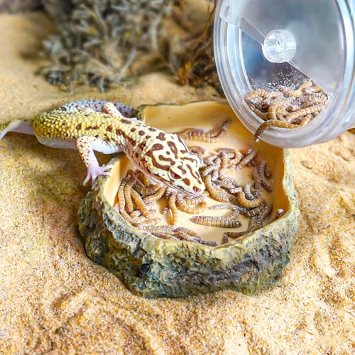 REPTI ZOO Reptile Cricket Calcium Powder Mixer, Transparent Cricket Keeper Shaker for Bearded Dragon Gecko Snake Lizard Chameleon, Dispenser Feeder for Reptile & Amphibians(Clear)