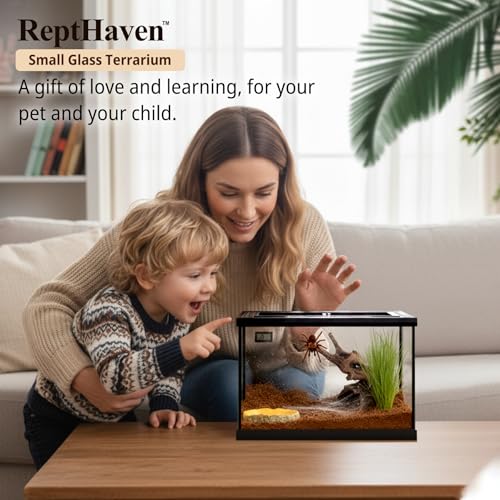 Reptile Glass Tank Starter Kit 16"x11"x11" Full View Reptile Terrarium for Leopard Gecko,Tarantula,Lizards,Spiders, Hermit Crabs,Frogs,Snake and Fish with Tank Accessories and Top Openning Door - size: 16"W x 11"D x 11"H