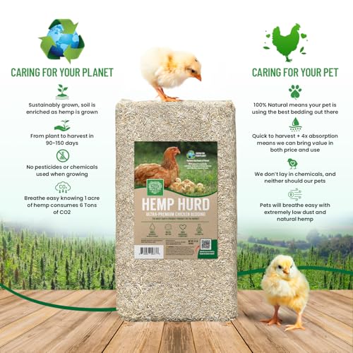 Small Pet Select Hemp HURD Chicken Coop Bedding, Jumbo, 36 lb | Ultra-Premium Biodegradable Bedding, Eco-Friendly Odor Control, For Coops, Runs & Brooders, Two 18 lb Bags - size: 36lb