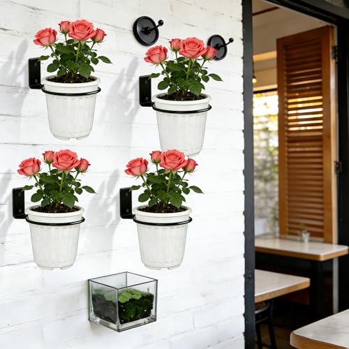 6 Pack 6 Inch Plant Pot Holder Ring, Metal Plant Holder Brackets Rings with 12 Screws & 12 Bolts, Potted Planter Brackets for Wall Indoor Outdoor Garden, Patio - size: 6 Inch