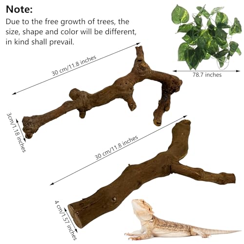 VCEPJH Ball Python Tank Accessories Reptile Branches for Snake Climbing | Natural Wood Bearded Dragon Log, Corn Snake Enclosure Accessories Decor, Grapevine Reptile Sticks 11.8 Inches (Pack of 2) - size: Grape Wood (S:11.8"-2pcs)