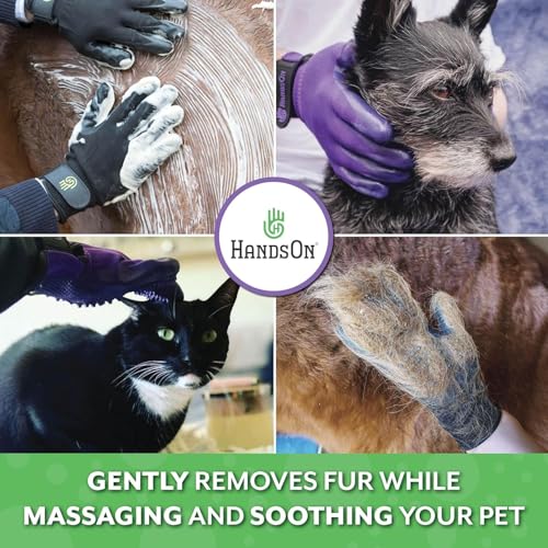 Pet Grooming Gloves - Cat, Dog, Horse Gentle Hair Remover Brush - Mitt For Long & Short Haired Fur - Shedding, Bathing & Massaging Glove (Purple, Small)