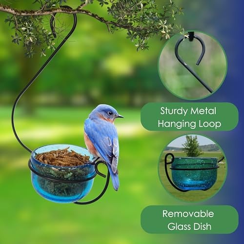 Ornate Glass Bowl Hanging Bird Feeder for Bluebirds | Hangs from a Hook or Branch - Holds Mealworms, Jelly, Fruit or Suet - Ornate Glass Dish Accent for Gardens, Porches, Patios - color: Blue