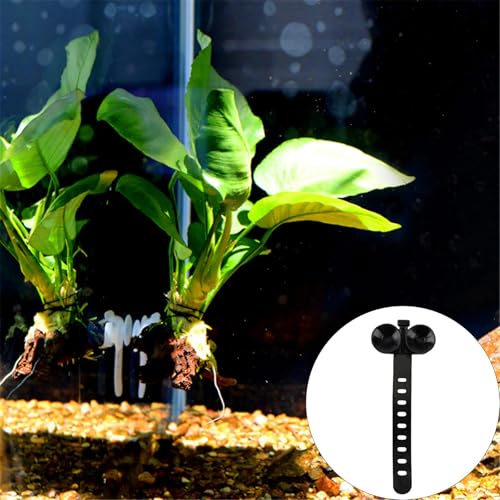 Aquarium Suction Cups, 4.1x1.5in Soft Plastic Cable Tie Clips, Fish Tank Moss Binding Holder for Water Airline Tubing Heater Filter Wire Organization, 10PCS - color: Black
