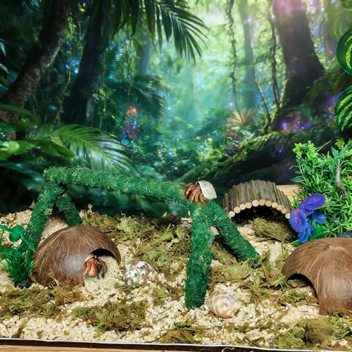 kathson Hermit Crab Accessories,8PCS Hermit Crab Toys Coconut Shell Hideout Hut,Bendable Bridge,Natural Moss Bedding,Plants,Reptile Tank Decor Accessories for Crabs,Gecko,Tortoise