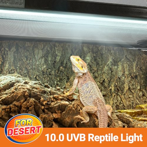 T5 HO Reptile Light Fixture UVB Lighting Combo Kit, Terrarium Lamp Hood Light with UVB 10.0 for Bearded Dragon, Gecko, Lizard (39W) - size: 39W