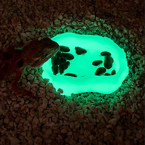 Reptile Water Dish,Resin Reptile Rock Food Feeder Bowl, Water and Food Bowl,Terrarium Decor for Leopard Gecko, Lizard,Spider,Turtle,Scorpion, Chameleon,Hermit Crabs (M, Green-Glow in Dark) - color: Green-glow in dark, size: M
