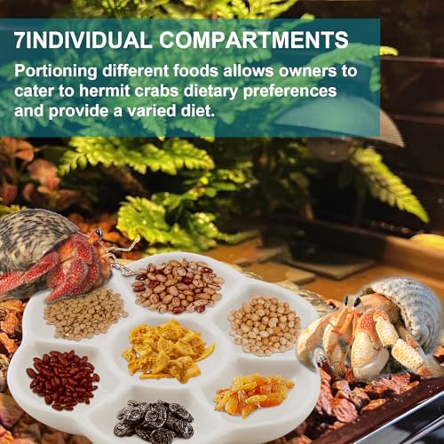 Hermit Crab Food Dish, 3 Pcs Mini Ceramic Hermit Crab Feeding Dish Tiny Reptile Water Bowl with 7 Compartments for Snail, Gecko, Lizard, Aquarium Accessory