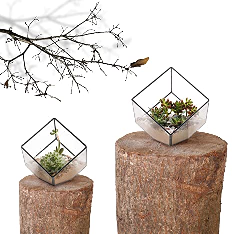 ELEGANTLIFE Glass Geometric Plant Terrarium Container, Flower Pot Tabletop Planter Decor Glass Display Box Succulent & Air Planter for Home Garden Office Decoration(Black Cubic Set of 2) - color: Black Cubic Set of 2