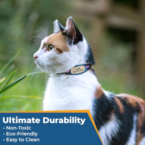 GoTags Lifestyle Silent Dog Tag, Personalized Engraved Silicone Pet ID Tags | Soundless Quiet Slide On Nameplate for Cat Collars with Name and Number, No More Jingling Tags (Beach Glass, Small) - color: Lifestyle Beach Glass, size: Small (Pack of 1)