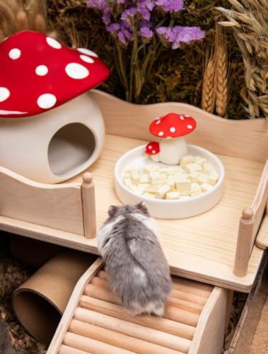 Niteangel Hamster Feeding & Food Bowls: Mushroom Ceramics & Chew-Resistant | Easy to clean & Stable Food Dish Feeding Bowls for Dwarf Syrian Hamsters Gerbils Mice Rats or Other Similar-Sized Small Pets - size: Feeding Bowl
