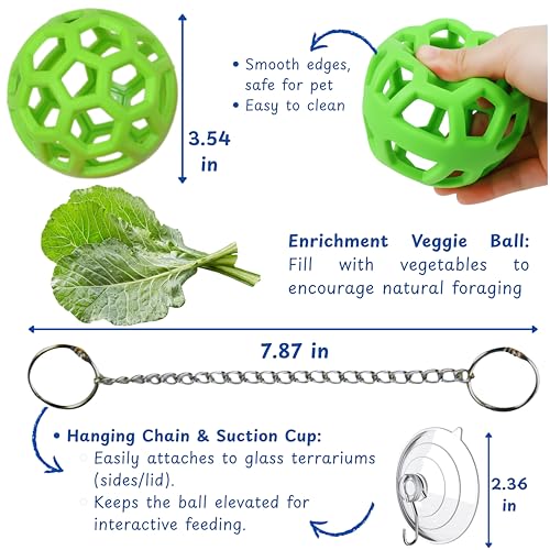 Bearded Dragon Enrichment Toys Feeding Tongs Accessories, Veggie Feeder Ball and Feeding Tongs with Rubber Tip, Greens Training Kit for Reptile Lizard Gecko, Reptile Tank Accessories (Green) - color: Green