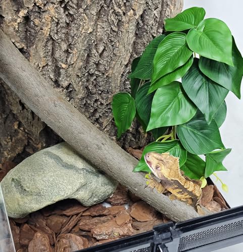 Woyrise Fake Reptile Plants for Terrarium,Tank Decor, Artificial Plant | Hanging Plant with Suction Cup,Amphibian Habitat Decor,Tank Accessories for Snake Gecko ChameleonTortoise - color: F-epipremnum Aureum