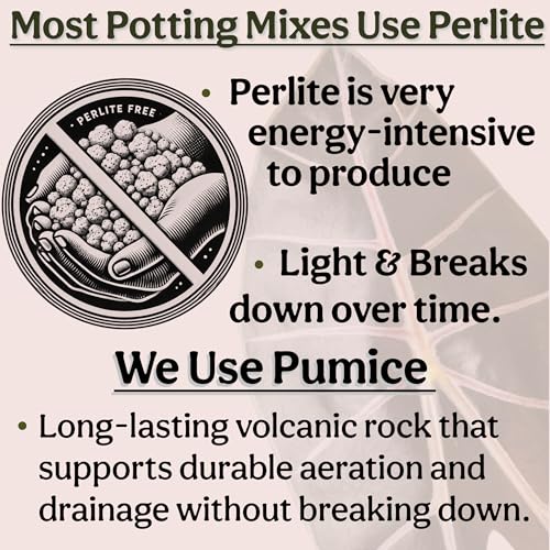 Craft Organic Houseplant Potting Mix, Elite House Plant Soil, Chunky, Well Draining Potting Soil for All Indoor Plants, Tropical Plants & Flowers, Sustainable & Peat Free, Less Prone to Gnats, 12QT - size: 12 quarts