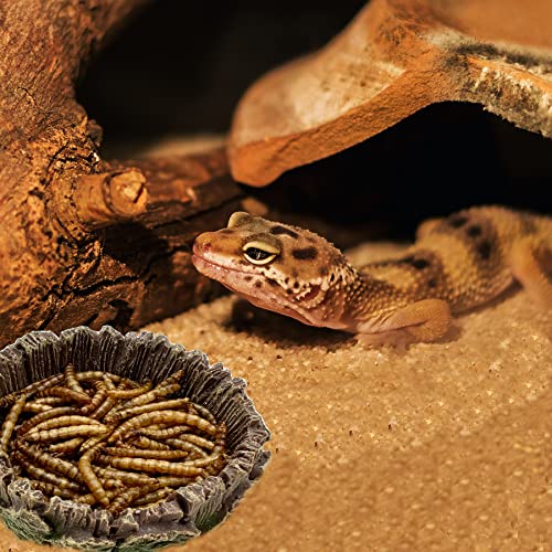 Small Reptile Food Dish, 2 Pack Reptile Feeding Food Bowls for Bearded Dragon Gecko Lizard Frog Hermit Crab Snail Toad - color: 2 PCS Tree Line Small Bowls