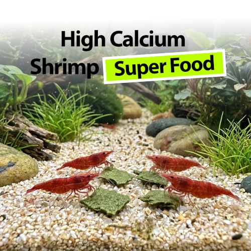 Shrimp Bites Calcium & Superfood Formula | High calcium supports molts and shell growth. Real egg and chlorella protein. Sinks fast, no clouding. Shrimp, snails, plecos
