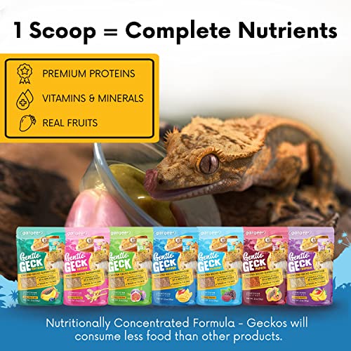 Gargeer 2oz Gentle Geck Mango Diet - Crested Gecko Food. Made in USA | Drive picky geckos wild! A irresistible organic mango superfood blend loaded with gut-safe probiotics and antioxidants - size: 2 Ounce (Pack of 1)