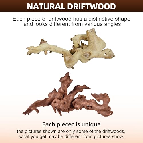majoywoo Natural Large Driftwood for Aquarium Decor Fish Tank Decorations | Natural Driftwood for Aquascaping and Reptile Decor, With Unique Natural Shapes, Assorted Driftwood Branch 9-14" 2 Pcs - size: Mopani Driftwood 9 to 14 Inch (Pack of 2)