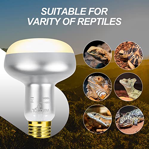 WACOOL 2 Pack 100W Reptile Heat Lamp Bulbs - Intense Basking Spot Lights for Bearded Dragons, Lizards, Turtles, Tortoises, Geckos - UVA Daylight Heat Lamp for Terrariums, Vivariums & Enclosures - style: 100W-2pack
