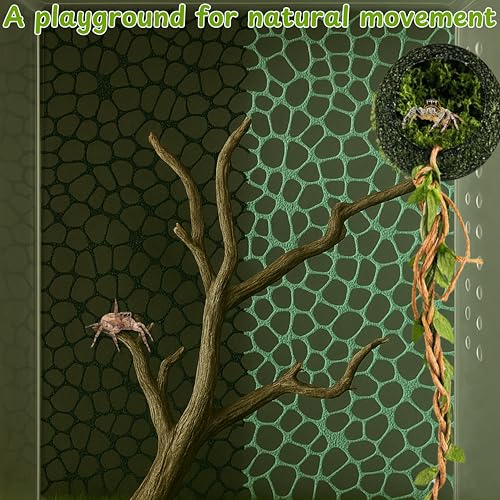 Jumping Spider Tarantula Enclosure Climbing Bridge Decor, Jumping Spider Hideout Rope Bridge 2pcs Climbing Web Net with 8pcs Suction Cups Hook, Accessories For Tarantula Reptile Enclosure (Green)