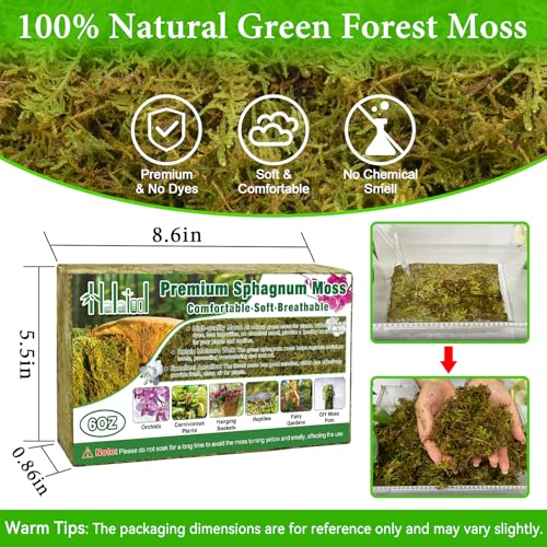 Halatool 6OZ Natural Green Forest Moss, Long Fiber Sphagnum Moss for Plants | No Dyes, Water Retention & Areation, Dried Orchid Moss for Potted Plants Indoor & Outdoor, Orchids Repotting, Terrariums - size: 6 oz