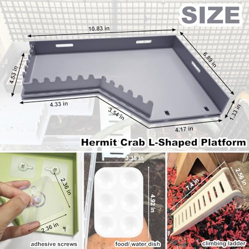 Hermit Crab Accessories - Platform with Ladder and Food Dish, Hermit Crab Climbing Toys, Habitat Supplies and Tank Accessories for Reptiles, Hamsters, Geckos, Small Lizards - color: Grey