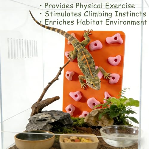 Mini Reptile Rock Climbing Wall, Terrarium Enclosure Enrichment & Habitat Décor for Bearded Dragons, Geckos, Lizards, Snakes, Tree Frogs and Small Amphibians (Orange & Pink) - color: Orange & Pink