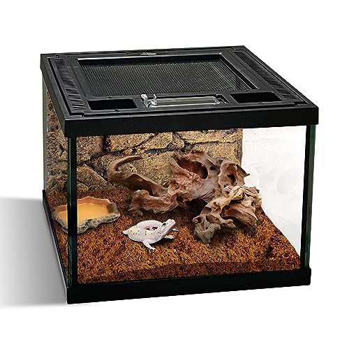 Mini Reptile Glass Terrarium Tank 8 * 8 * 6" Full View, Amphibians Habitat Enclosure Cage for Frog,Spiders,Dubia Cockroach,Praying Mantis,Cricket,Tarantula,Hermit Crab - size: 8*8*6inch
