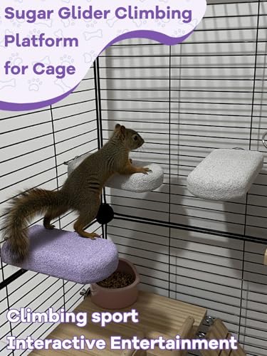 Chinchilla Lava Ledges Rat Climbing Platform 4 Pack Pumice Ledge Shelf Pet Chewing Grinding Toys Small Animals Cage Accessories for Totoro Squirrel Guinea Pig Hamster Purple - color: Purple, size: 4 PCS 5.11 x 2.75 x 0.98 inches