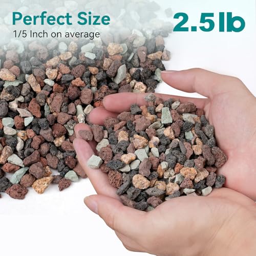 2.5lbs Mix Horticultural Lava Rock for Plants, 1/5 Inch Potting Soil Amendment for Succulents, Cactus & Bonsai, Decorative Volcanic Gravel for Terrarium, Drainage Gritty Rock, Top Dressing - color: Multi