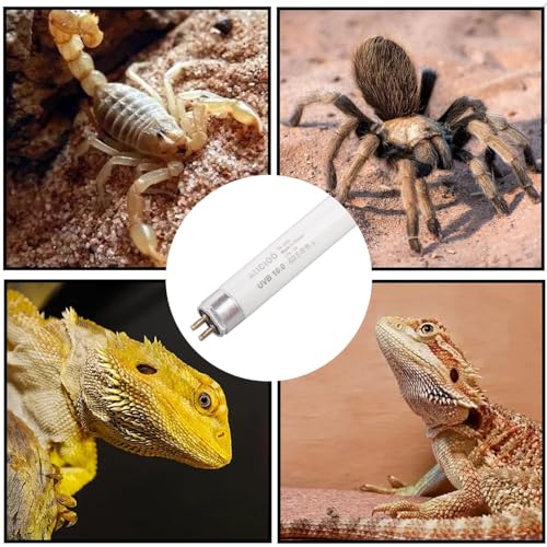 Aiicioo 2 Pack T5 HO 10.0 Reptile UVB Light 24W - Desert 22" UVA UVB Fluorescent Lamp Tube UVB Lighting Bulb for Tortoises Lizard Bearded Dragon Chameleon Turtles - style: 2 pack T5 Tube-24W 10.0