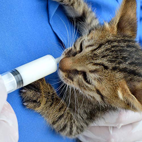 10 Pack Plastic Syringe Liquid Measuring Syringes Without Needle for Epoxy Resin, Craft, Scientific Labs, Feeding Pets Animals, Oil or Glue Applicator (20 ML, 60 ML) - size: 20 ML, 60 ML