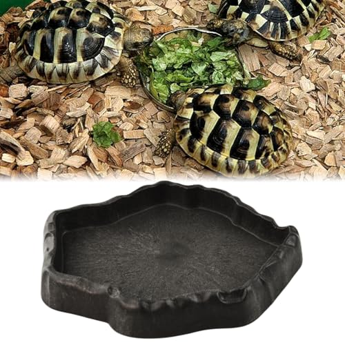 Flylin Reptile Water Dish, Reptile Feeding Dish Corner Bowl (Small) | Terrarium species hydration container, Light tone shade ware, Stable basin non slip base, Captive habitat supply - size: Small