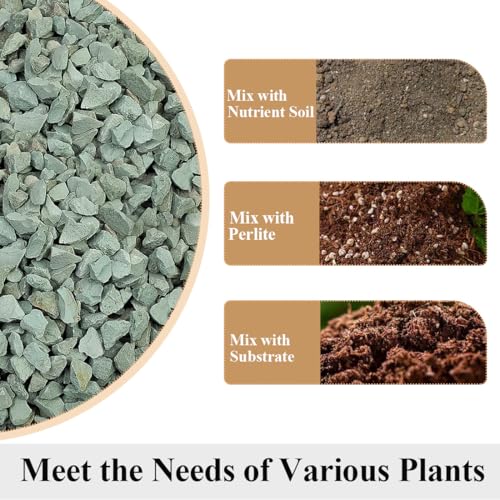 Succulents and Cactus Green Zeolite Rocks, Decorative Stones Pebbles for Indoor Plants, Bonsai, Fairy Gardening, Terrarium, 5lb - color: Green Zeolite Rocks, size: 5 Pounds