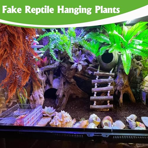 Hamiledyi Reptile Plants 4 PCS Hanging Terrarium Plants Vines with Suction Cup Fake Amphibian Plants for Bearded Dragons,Lizards,Geckos,Snake and Hermit Crab Tank Habitat Decorations 33 inches - color: 4pcs Sunset Red Persian Fern