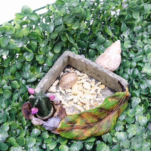 Hermit Crab Accessories, Resin Cactus Dish for Food or Water, Hermit Crab Water Bowl, Habitat Tank Accessories for Gecko, Hermit Crabs, Frog and Other Small Reptile