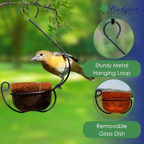 Oriole Jelly Feeder - Sparkling Orange Glass Bowl | Removable Cup for Easy Cleaning - Decorative Wire Hook - for Grape Jelly, Fruit and Nectar - Baltimore Orioles - color: Orange