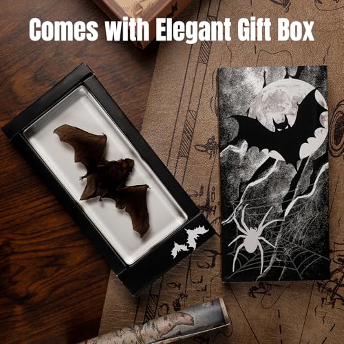 Taxidermy Bat Specimen in Resin – Real Preserved Animal Specimen, Oddities Collectible & Gothic Decor for Science Classroom, Unique Halloween, Christmas & Birthday Gift(5.5 x 2.5 x 0.7 inch) - color: Taxidermy Bat(5.5 x 2.5 x 0.7 inch)