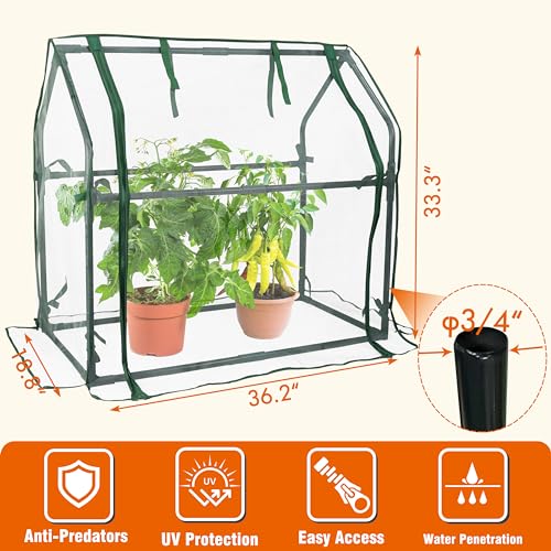 Gardzen Mini Greenhouse with Mesh Cover 36.2"(L) x18.9(W) x33.3(H) | Portable Outdoor Greenhouse, Enhanced Ventilation, Ideal for Spring, Summer & Fall - size: 36”(L) x18”(W) x33”(H)
