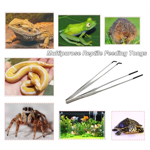Stainless Steel Straight and Curved Tweezers Aquarium Tweezers with Rubber Tips Long Handle Reptile Feeding Tongs for Fish Tank Aquatic Plants, 2pcs, 10.6 Inch, Silver