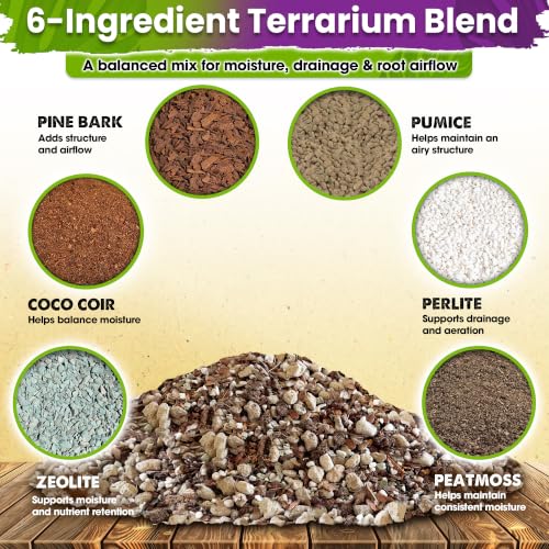 6-in-1 Terrarium Soil Mix, Pre-Mixed & Ready to Use, 8QT | Terrarium Substrate Mix with Coco Coir, Peat Moss, Pine Bark, Perlite, Pumice & Zeolite for Balanced Moisture & Airflow