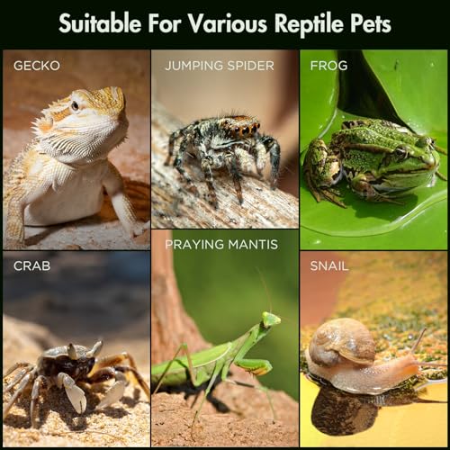 Pre-Assembled Jumping Spider Enclosure, All-Side Ventilation | 3.5"×3.5"×7" Escape-Proof Spider Terrarium Kit with Accessories & Magnetic Door for Tarantula, Mantis, Tweezer & Temp Sticker - size: Small Vertical (3"×3"×7")