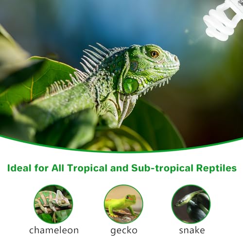 LUCKY HERP UVA UVB Reptile Light 5.0, Tropical UVB 100 Compact Fluorescent Lamp, UVB Light for Reptiles 15W, UVA UVB Reptile Light Bulb, UVB Bulb for Reptiles Chameleons Lizards Tortoises Snakes - style: UVB5.0 15W